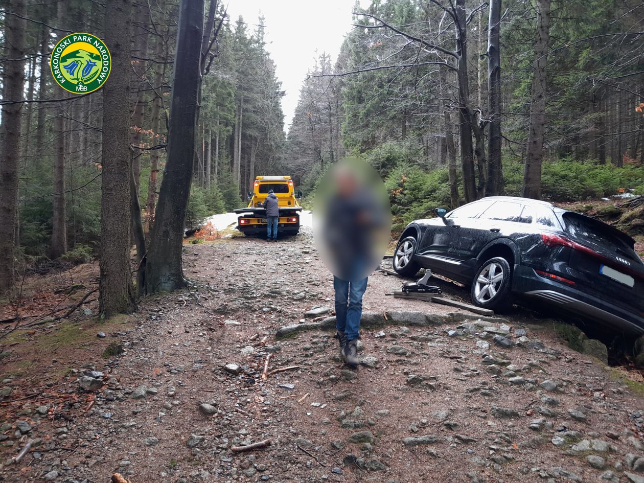 Jagniątków: Chciał do Czech – wylądował w lesie