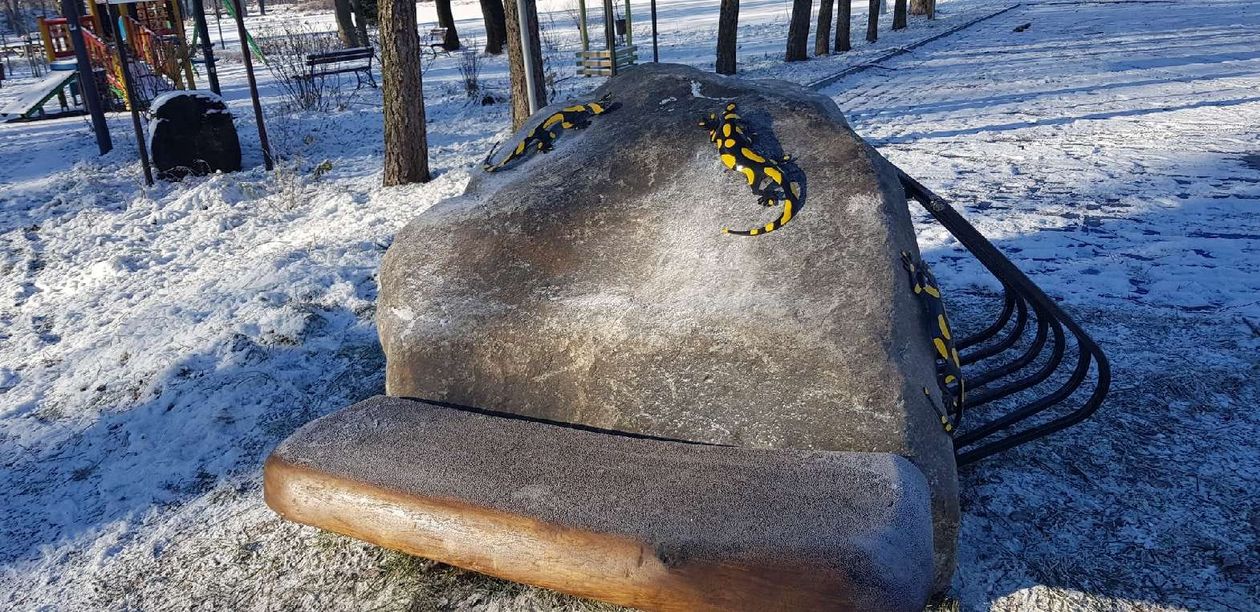 Kowary: Salamandry zdobią stojak