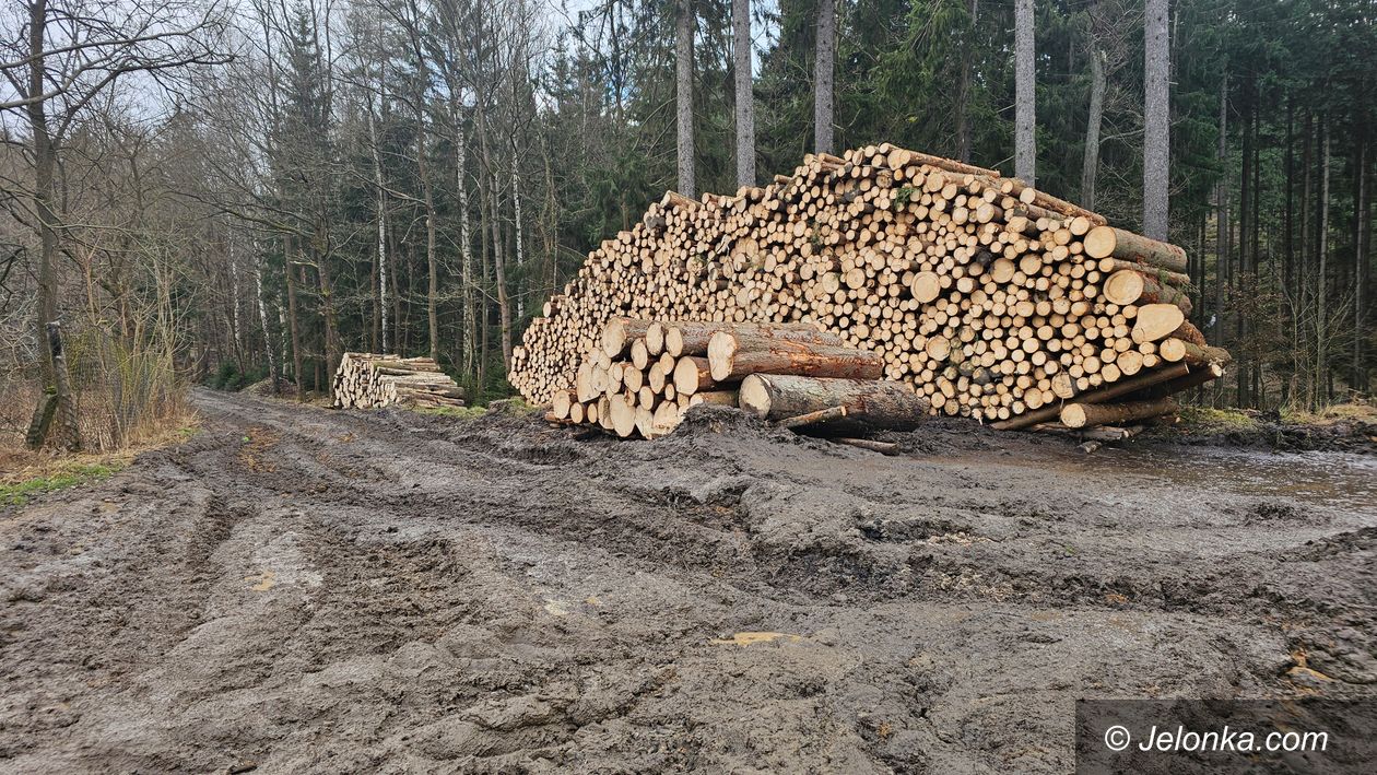 Jelenia Góra: Zniszczyli ścieżki spacerowiczom