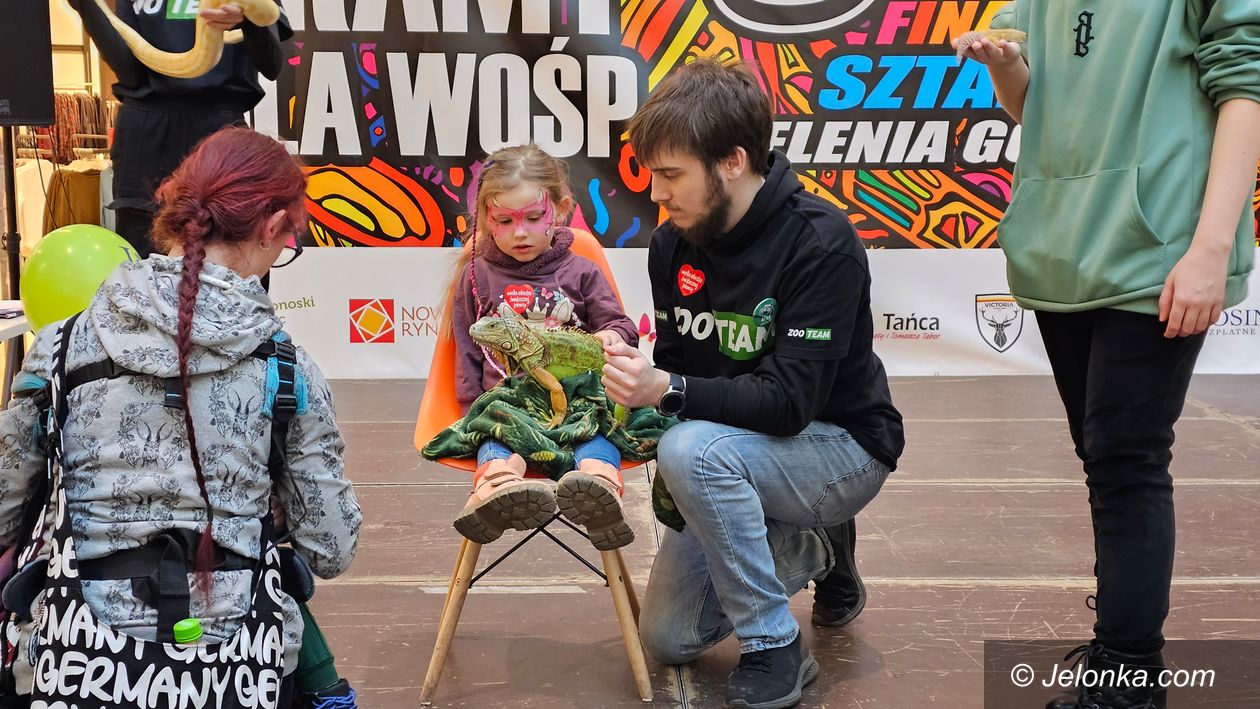 Jelenia Góra: Kolorowo w Galerii