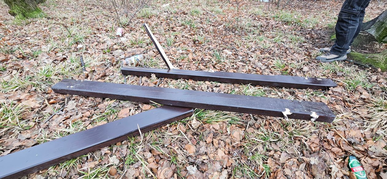 Mysłakowice: Atak wandali w Parku Królewskim