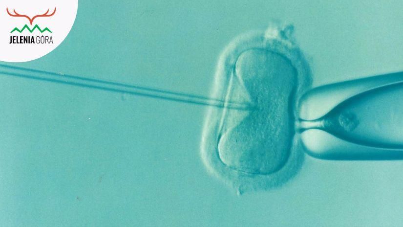 Jelenia Góra: Miasto pomaga w in vitro