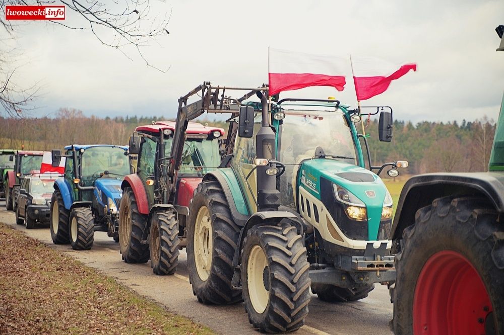 Jelenia Góra: Protesty ominęły Jelenią Górę