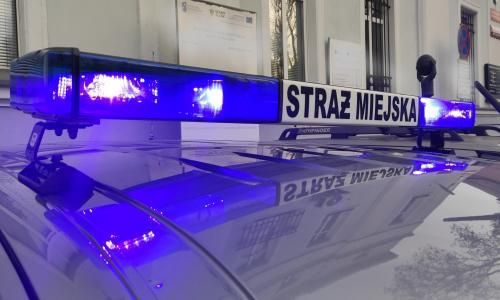 Jelenia Góra: Spalanie odpadów na Wrzosowej