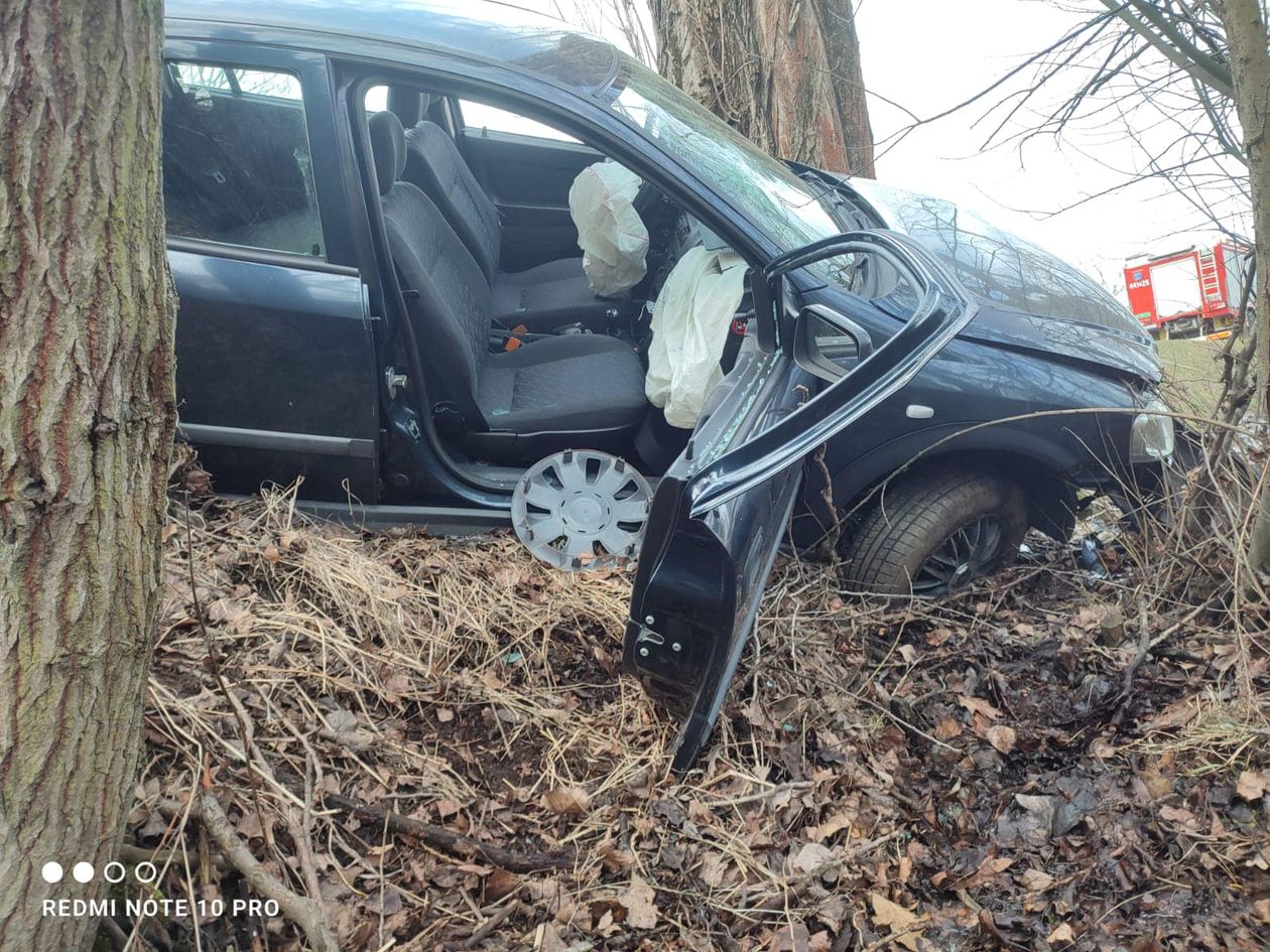 Jeżów: Wypadł z drogi