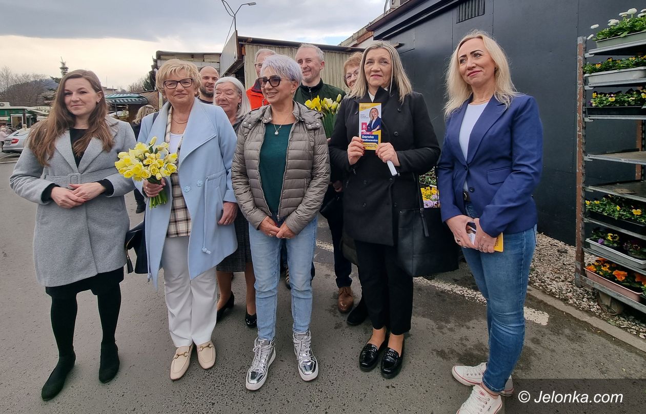 Jelenia Góra: Pomysł na Jelenią Górę Jadwigi Błaszczyk