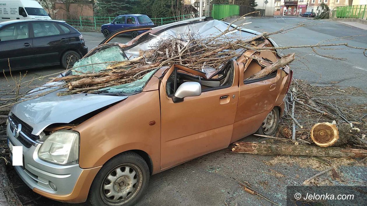Sobieszów: Drzewo spadło na Opla