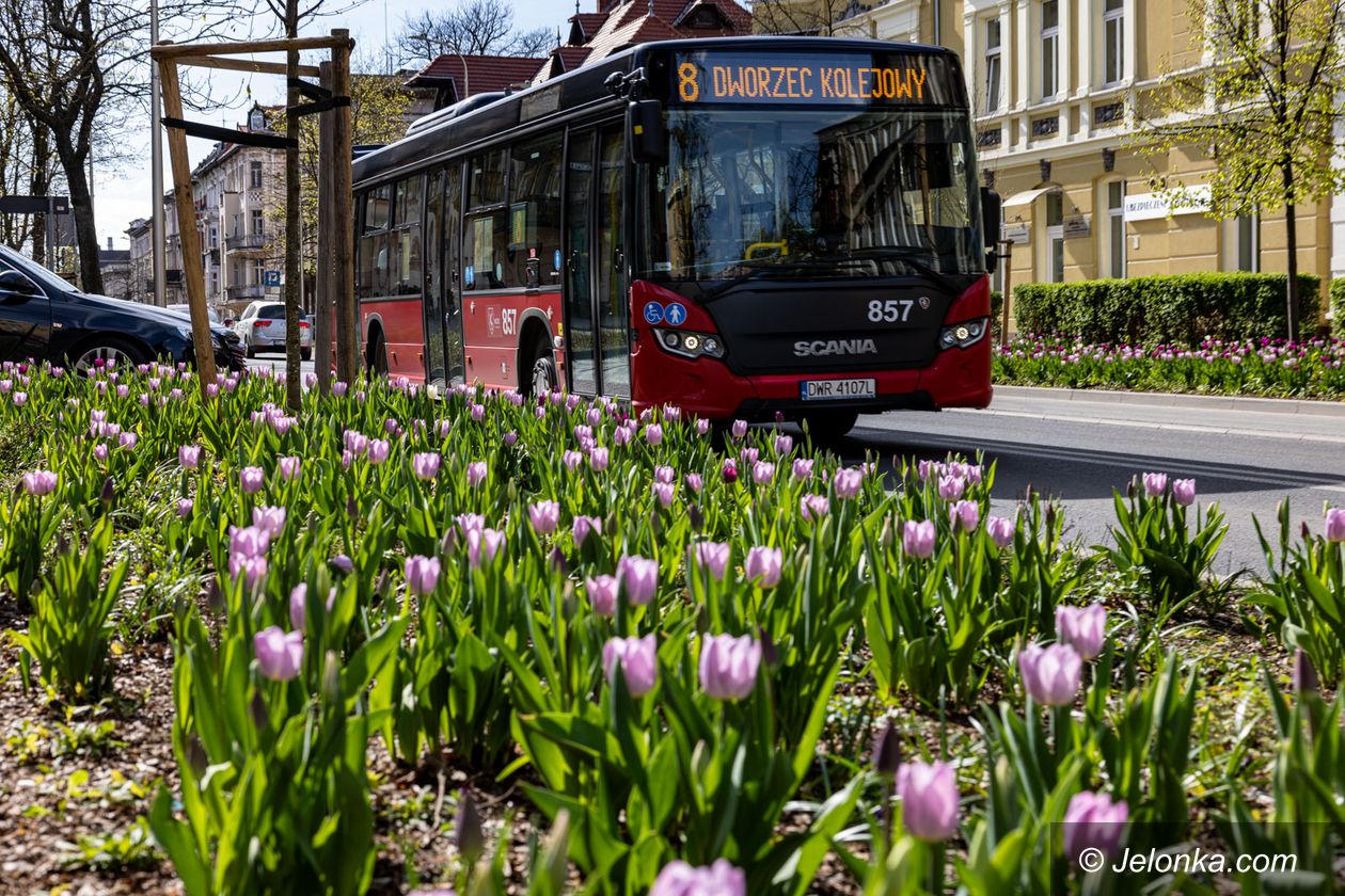 Jelenia Góra: Fioletowo na Wojska Polskiego
