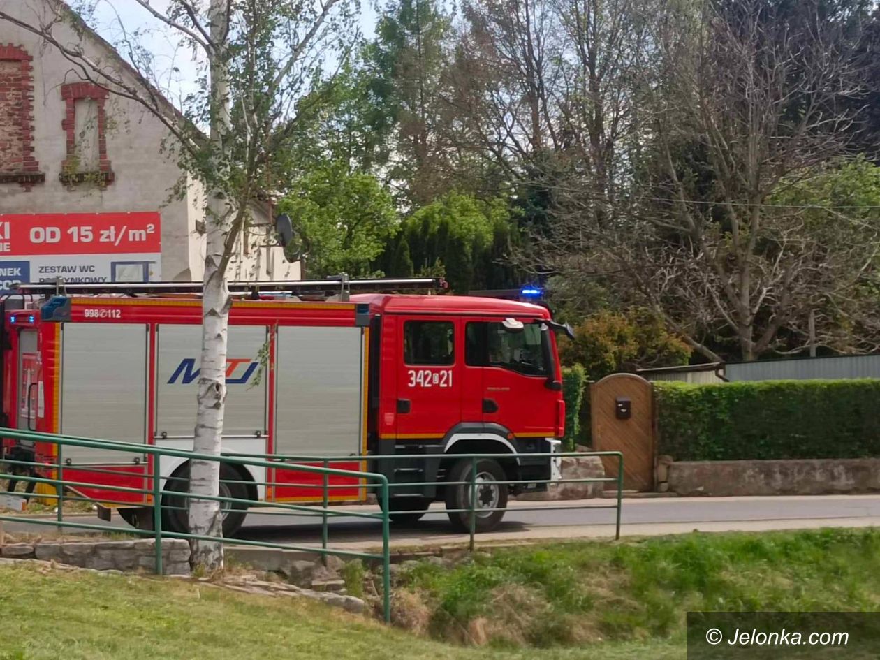 Jelenia Góra: Konar zabrał prąd