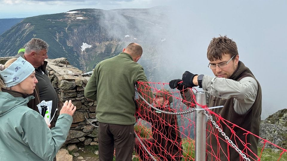 Karkonosze: Powrót siatek pod Śnieżką