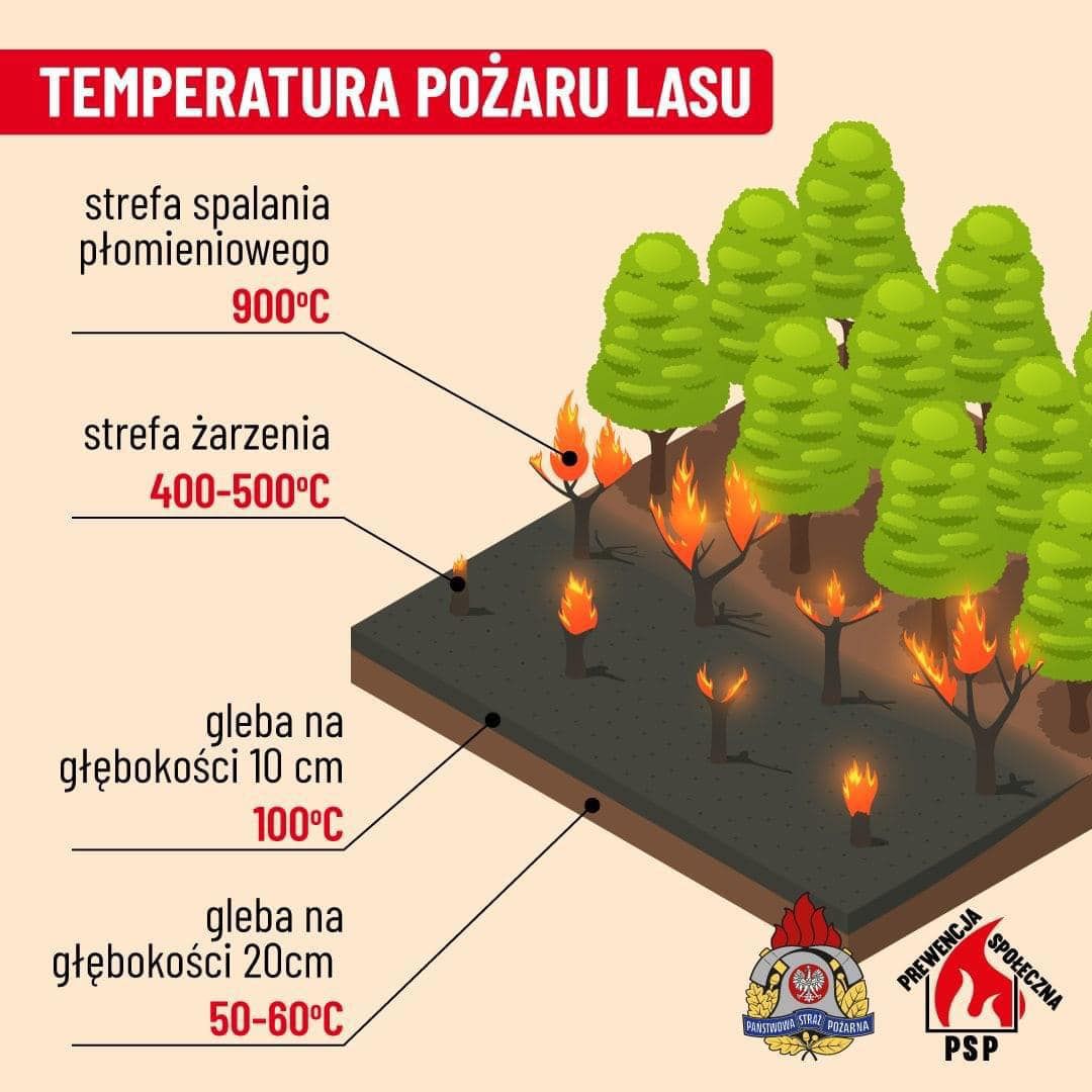 Polska: Nawet 10 lat więzienia za podpalenie łąki lub lasu!