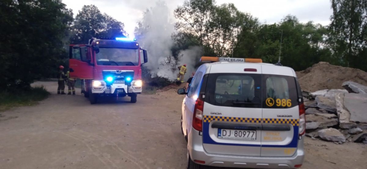 Jelenia Góra: Pożar bioodpadów przy oczyszczalni