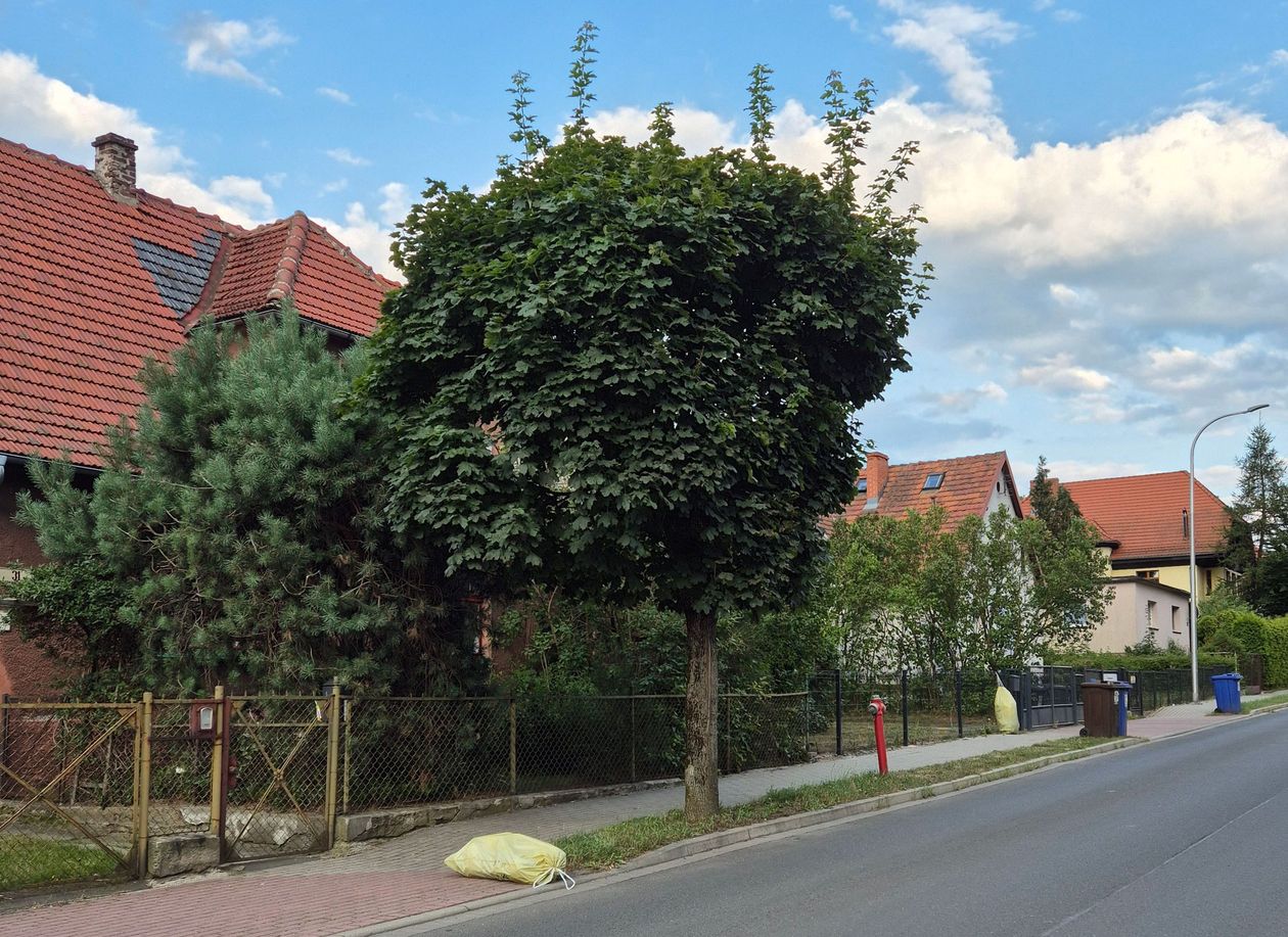 Jelenia Góra: Zalegające odpady