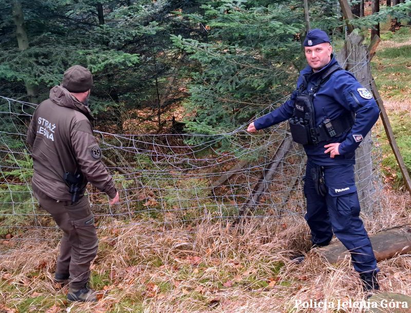 Powiat: Przeciw kradzieży choinek