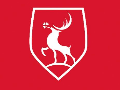 Jelenia Góra: Nowa siatka połaczeń MZK – ruszają konsultacje