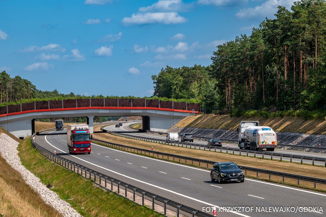 Polska: Przejścia dla zwierząt za miliardy