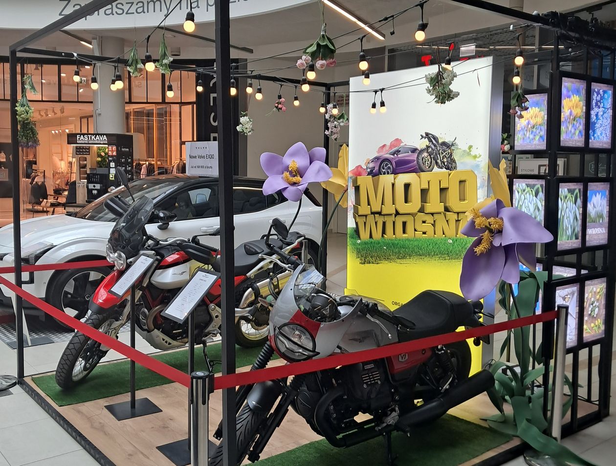 Jelenia Góra: Samochody i motocykle w Nowym Rynku