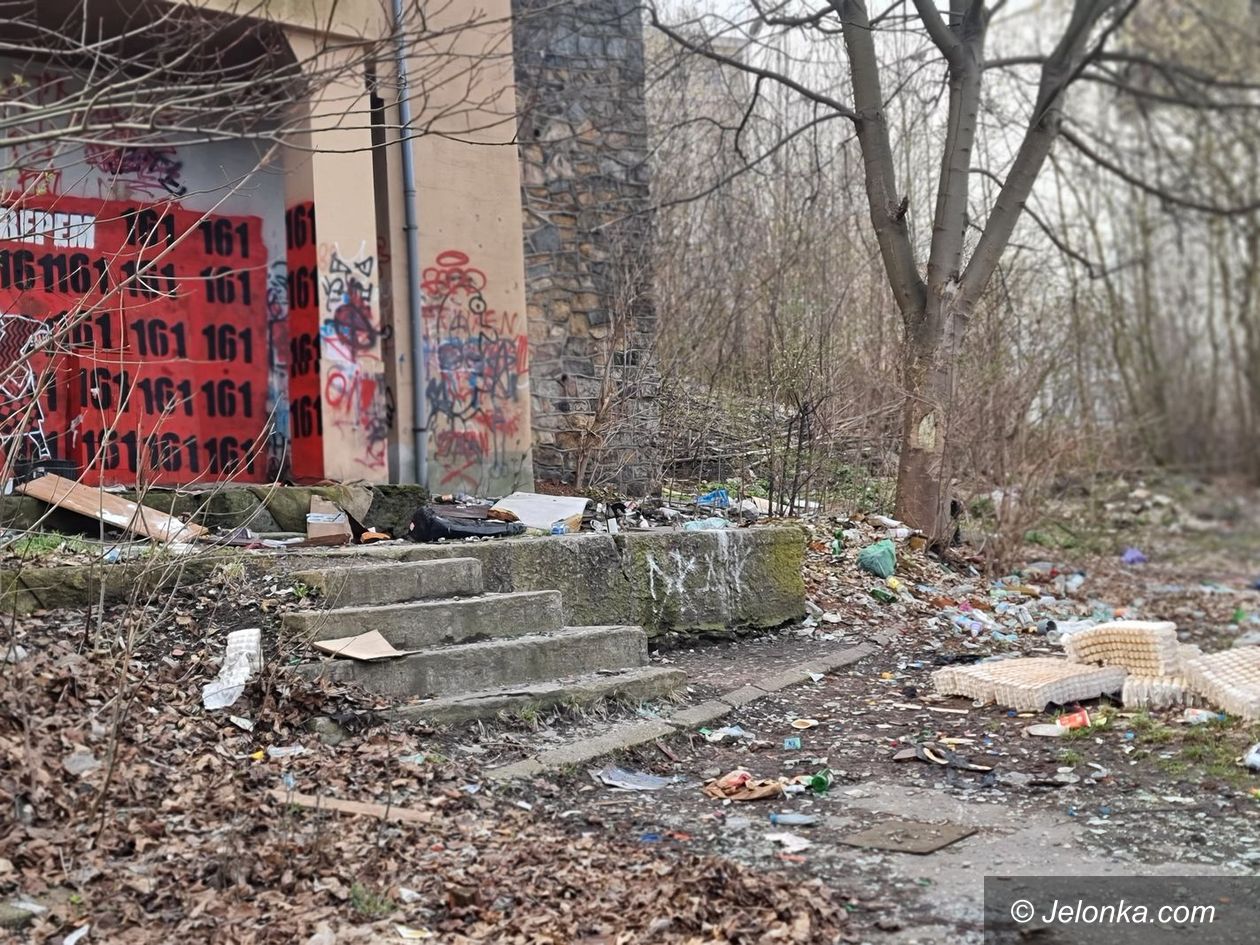Jelenia Góra: Dzikie wysypisko na zapleczu "Majówki"