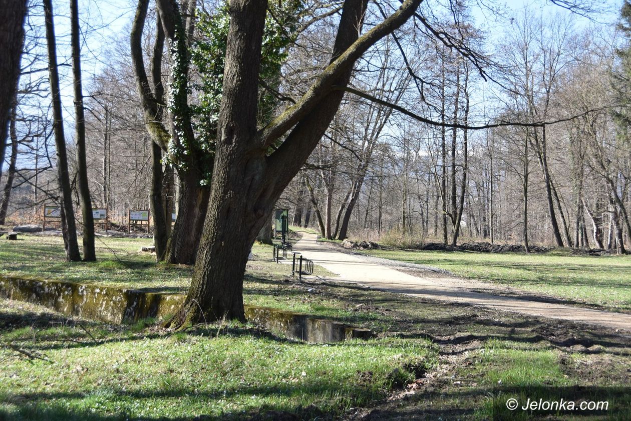 Bukowiec: Wypiękniał przypałacowy park