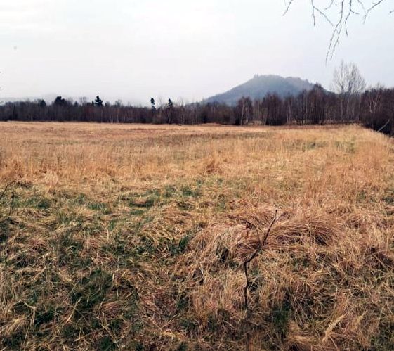 Trzcińsko: Niepokój wokół planowanej farmy fotowoltaicznej