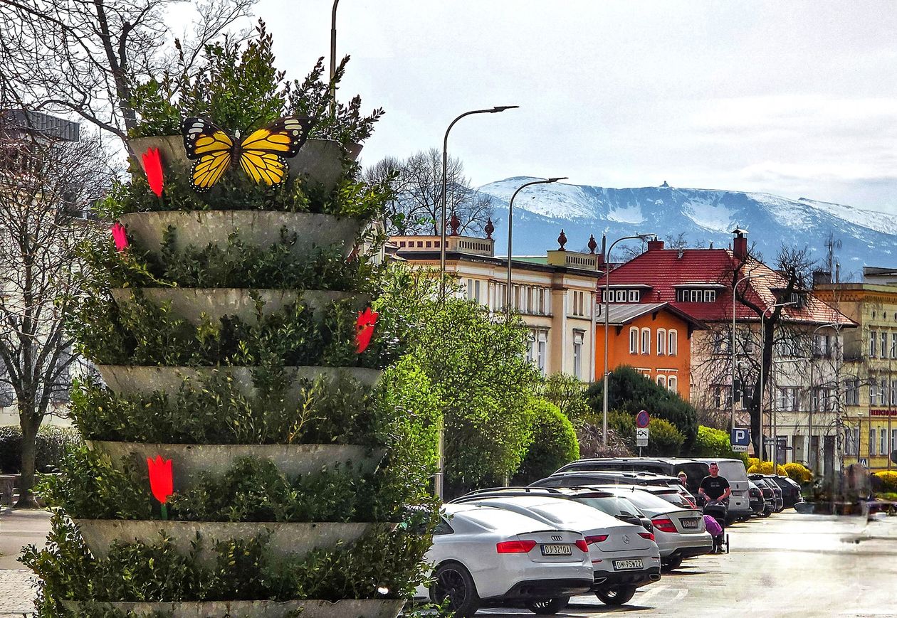 Jelenia Góra: Świąteczna Jelenia Góra