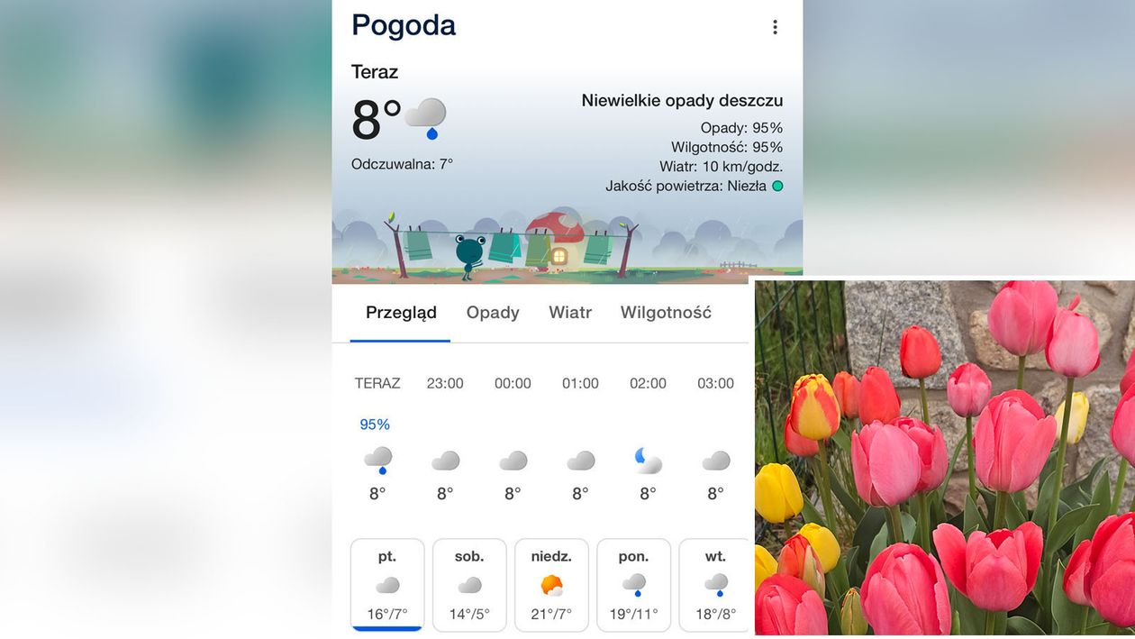 Jelenia Góra: Pogoda na święta "w kratkę"