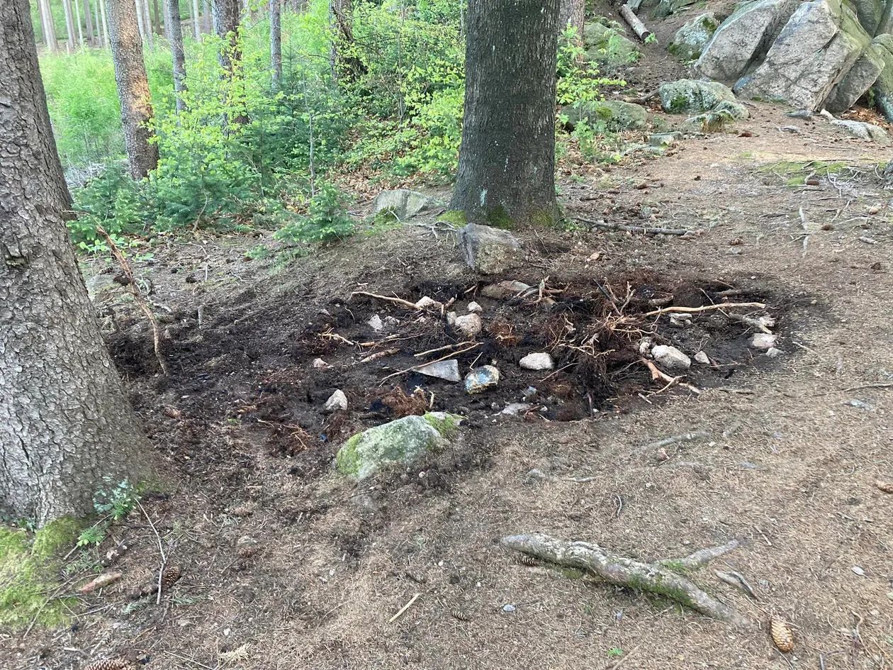 Karkonosze: Nie spal lasu!