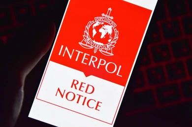 Dolny Śląsk: Jeleniogórscy strażnicy graniczni zatrzymali groźnego Ukraińca poszukiwanego przez Interpol