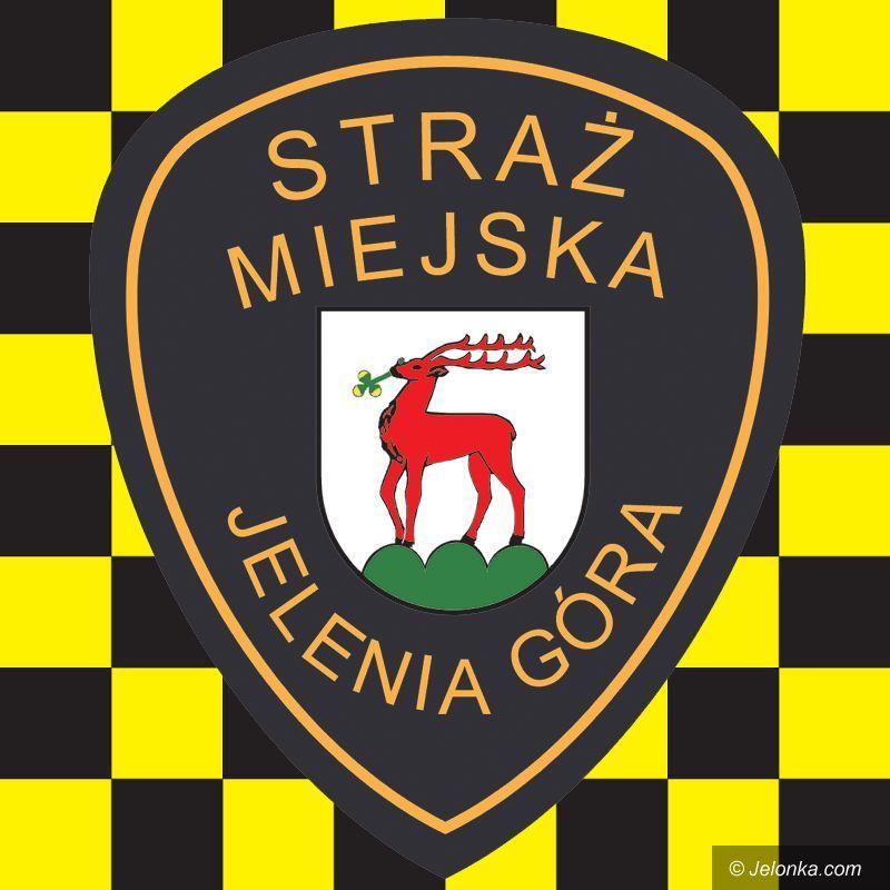 Jelenia Góra: Kibel na trawniku