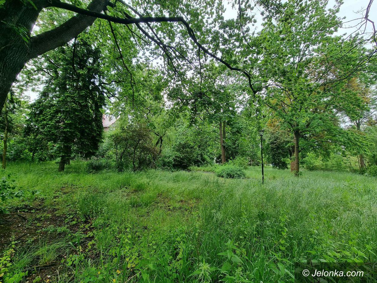 Jelenia Góra: Czas na park przy Zameczku