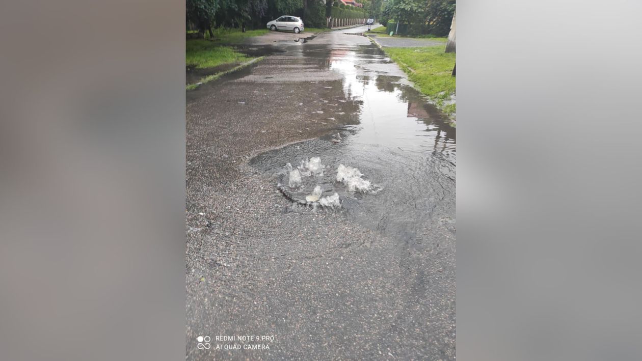 Jelenia Góra: Warto się pospieszyć – abolicja tylko do końca czerwca