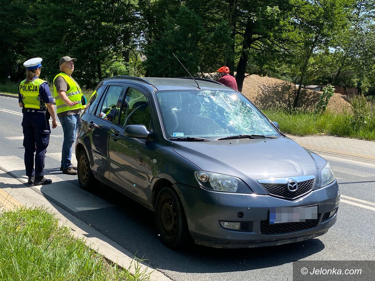 Jelenia Góra: Senior potrącił seniora