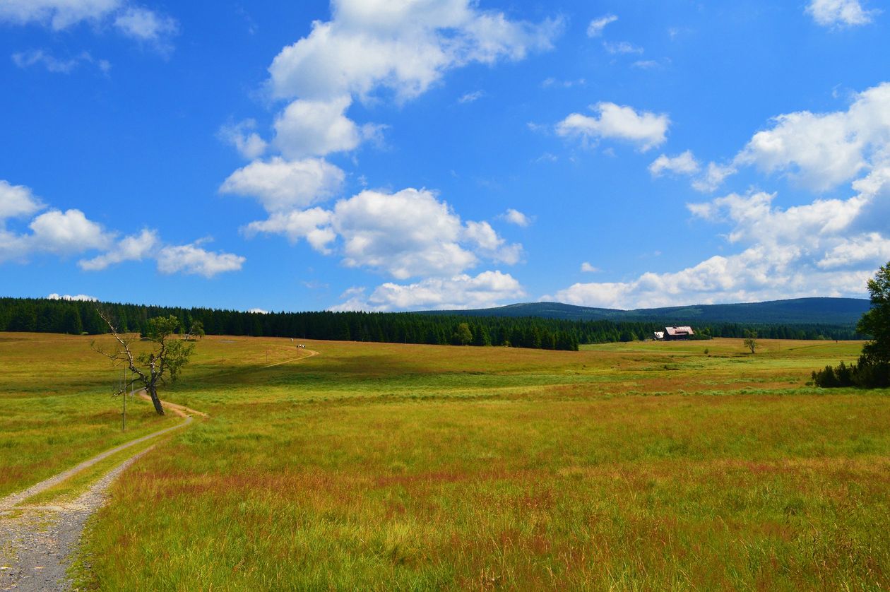 Region: Uwaga turyści, prace leśne na szlakach