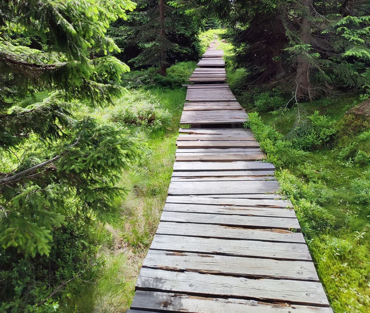 Karkonosze: Karkonoski Park Narodowy odnowi szlaki