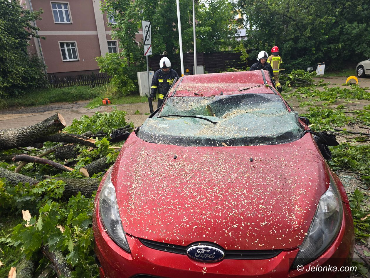 Jelenia Góra: Ford przegrał z drzewem