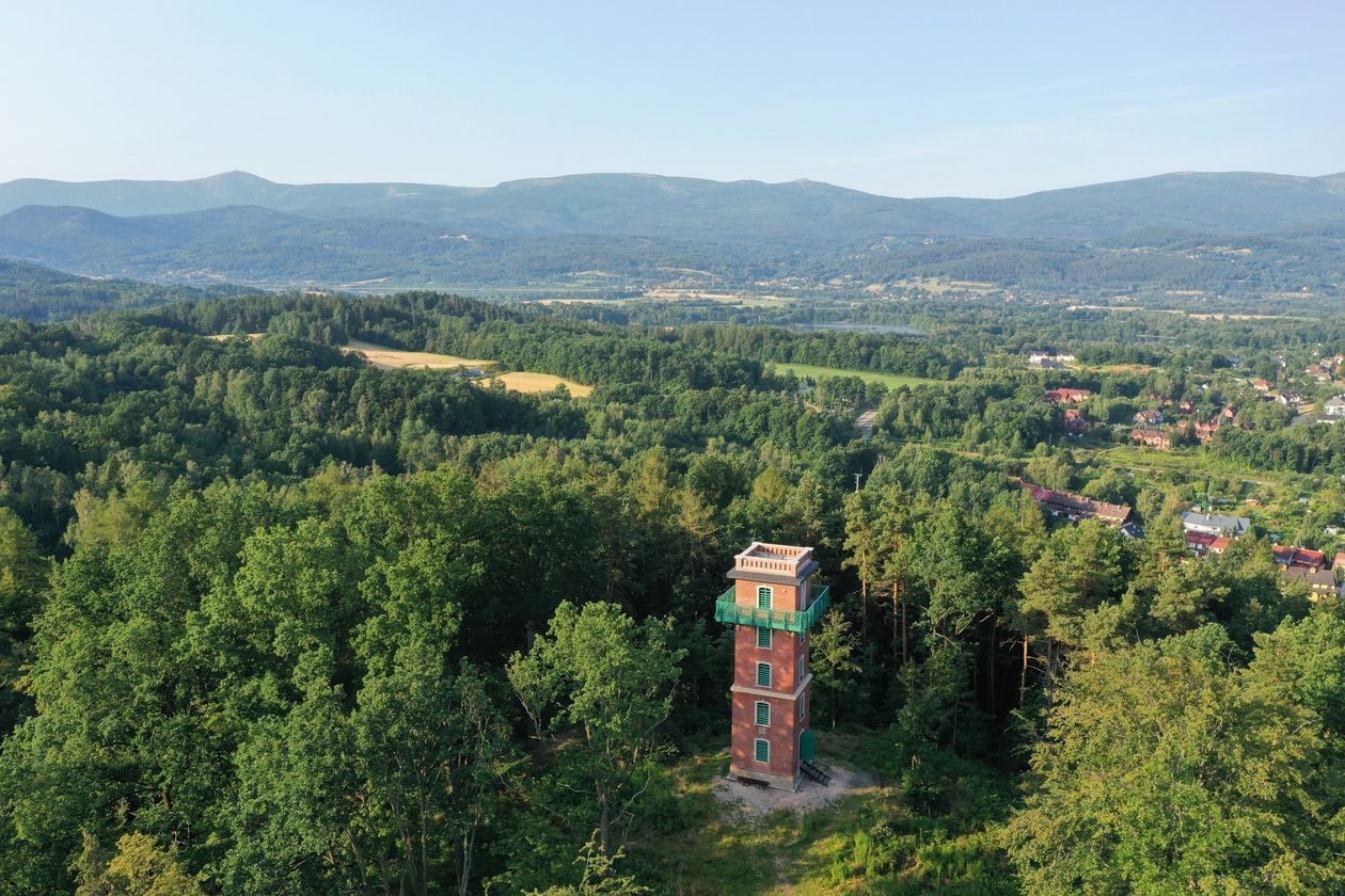 Cieplice: Prace przy wieży na Sołtysiej Górze