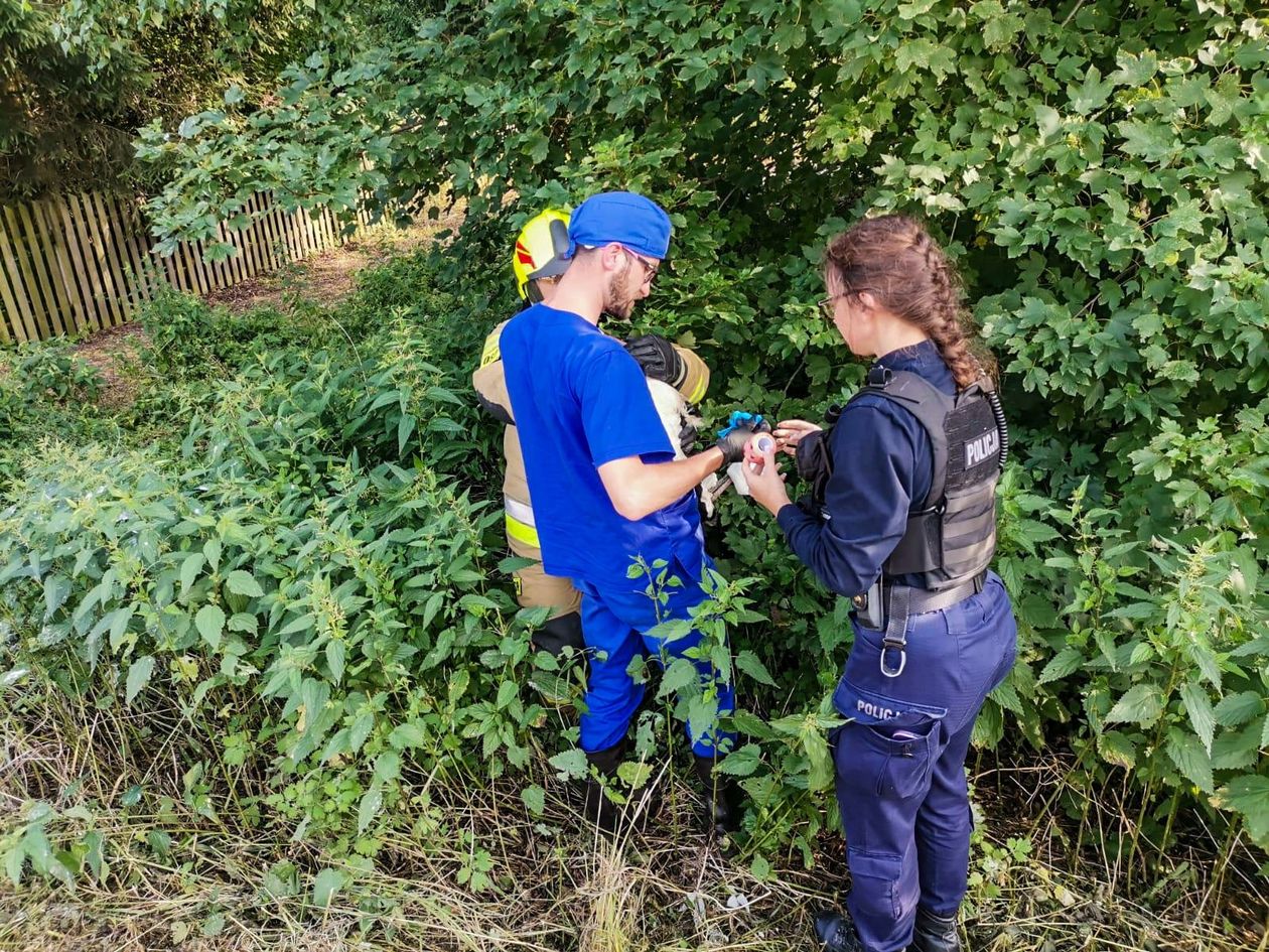 Ciechanowice: Bocian w potrzebie