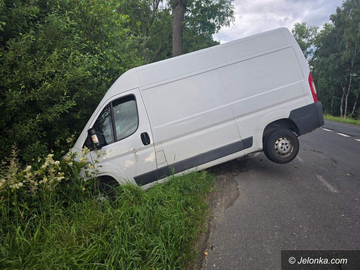 Jelenia Góra: Zwierzę wybiegło, bus uderzył w drzewo