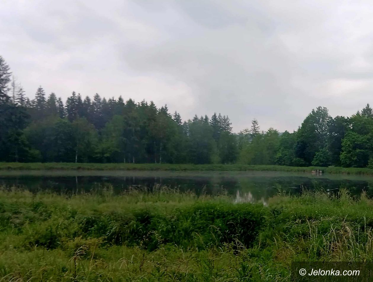 Mysłakowice: Stawy do ochrony