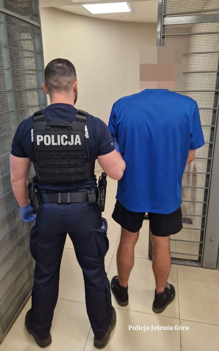 Jelenia Góra: Kierował pomimo pięciu zakazów. Za popełnione czyny odpowie przed sądem
