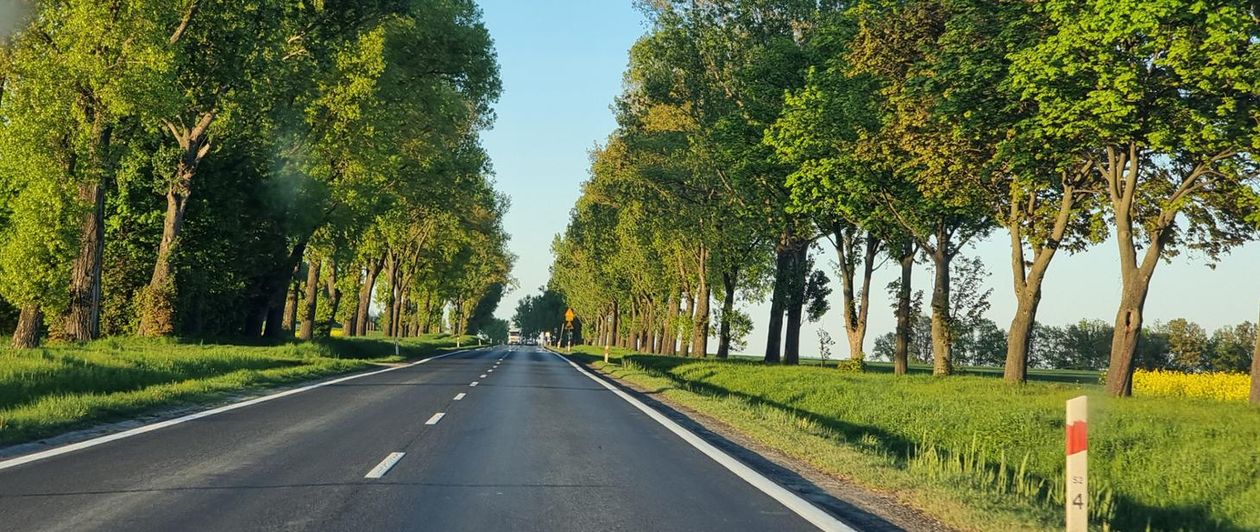 Dolny Śląsk: Kolejny krok w budowie S8