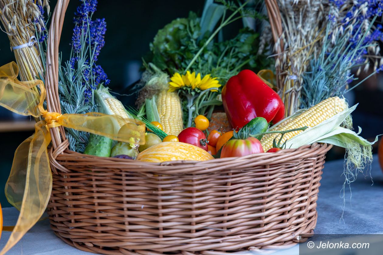 Mysłakowice: Mysłakowice pożegnały lato w rytmie muzyki i zabawy