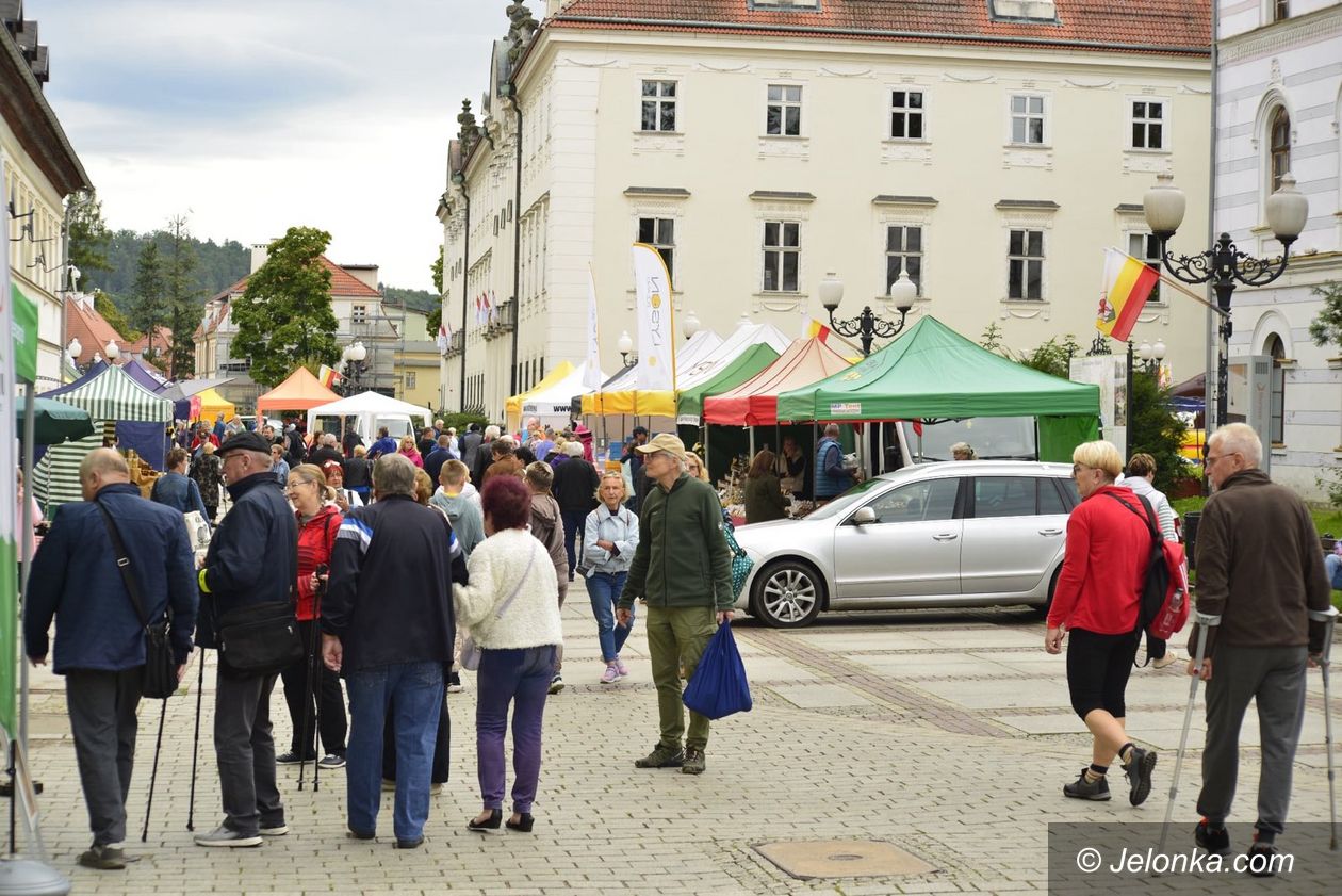 Cieplice: Święto pszczół i miodu w Cieplicach