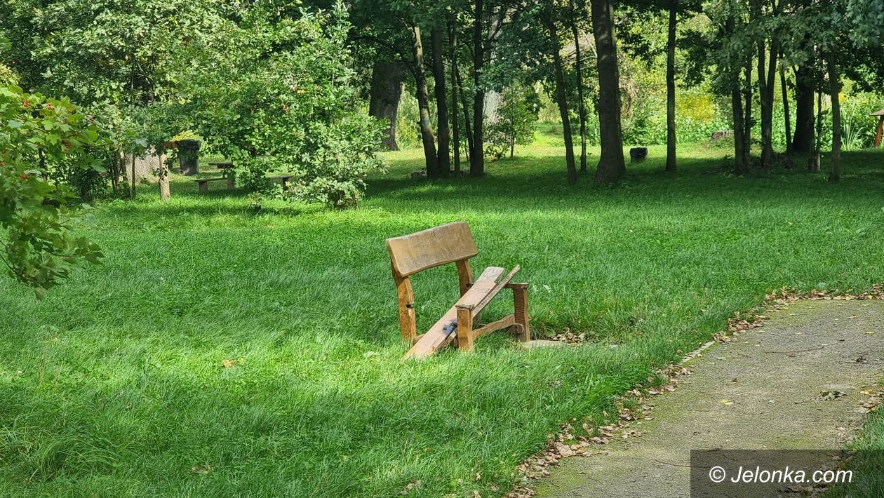 Jelenia Góra: Dębowa Wyspa zostanie odnowiona
