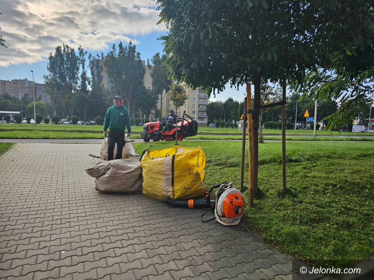 Jelenia Góra: Porządki na Zabobrzu
