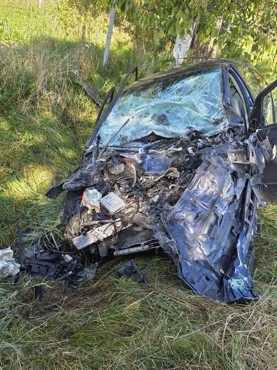 Lwówek Śl.: Dramat na drodze
