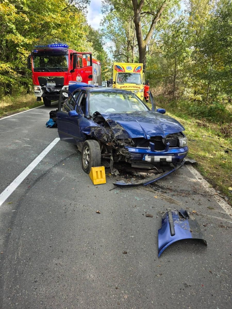Pisarzowice: Nieostrożny manewr, auto w drzewie