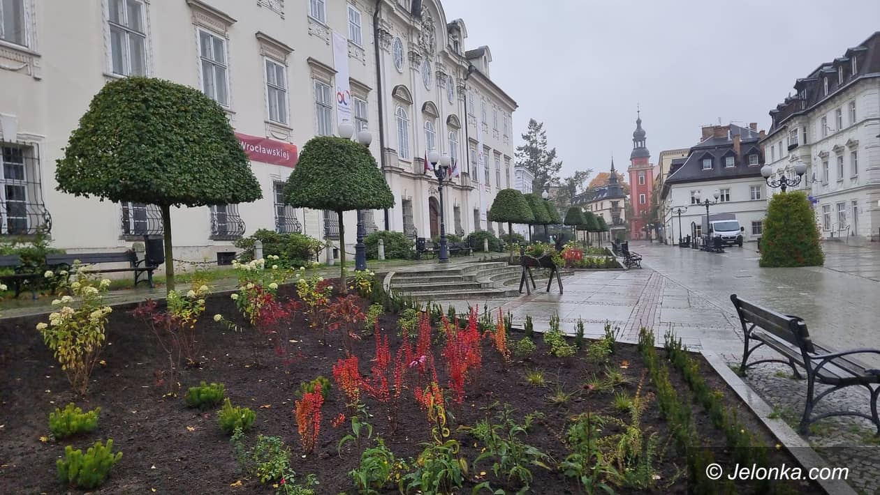 Cieplice: Więcej zieleni w sercu Cieplic