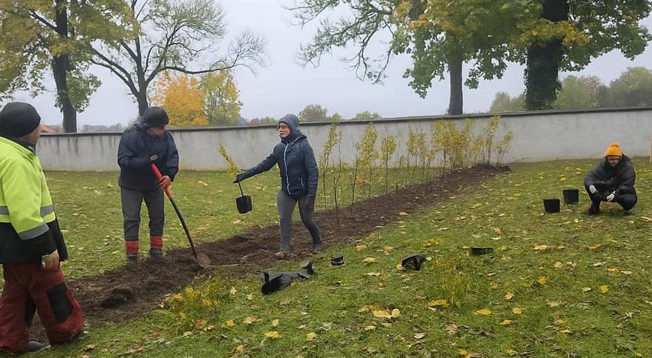 Janowice Wielkie: Ptaki zamiast turystów
