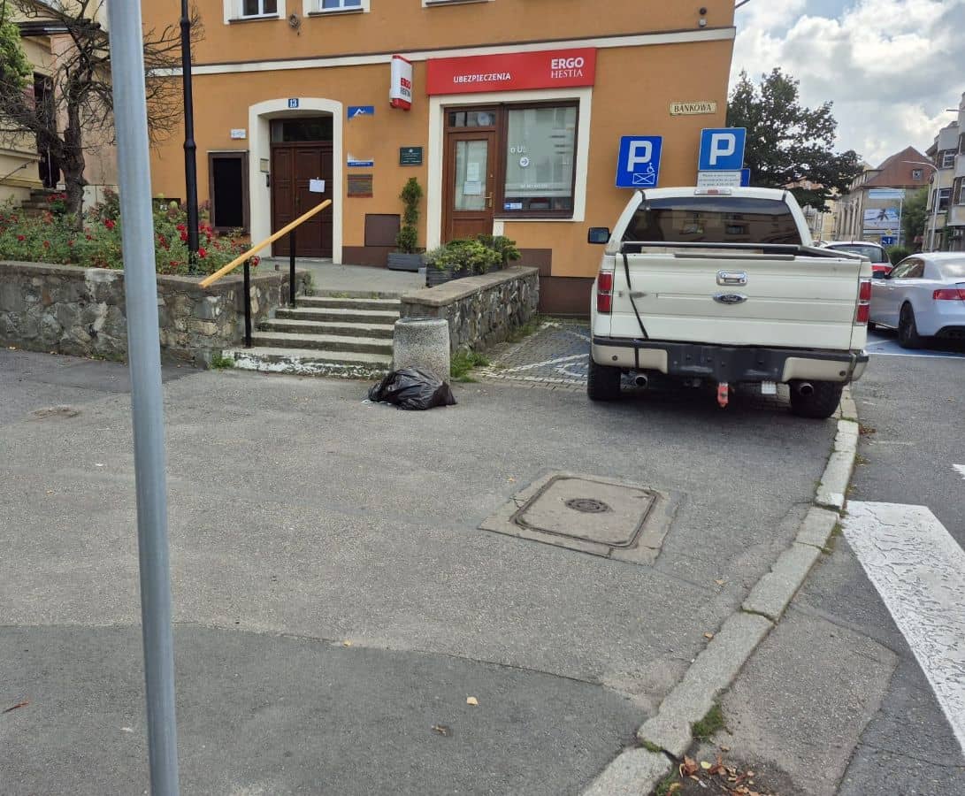 Jelenia Góra: Na chodniku, na trawie… i po mandacie